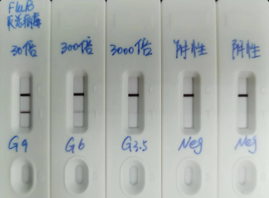乙型流感病毒(Flu B)快速检测卡 – 汇孚兴业
